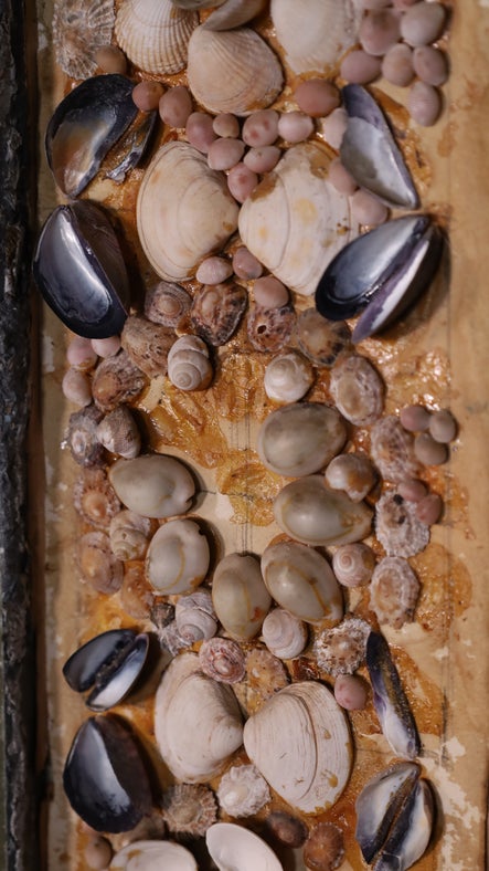 A wall panel with some shells missing, revealing the under drawing at A la Ronde, Devon.